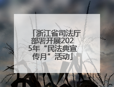 浙江省司法厅部署开展2025年“民法典宣传月”活动