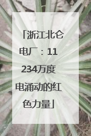 浙江北仑电厂：11234万度电涌动的红色力量