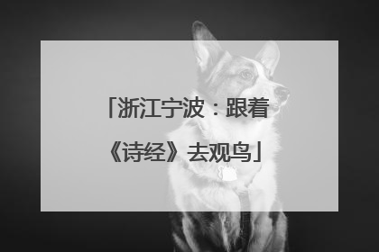 浙江宁波：跟着《诗经》去观鸟
