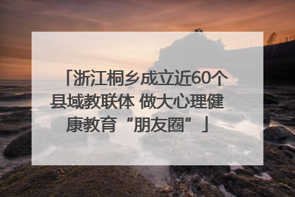 浙江桐乡成立近60个县域教联体 做大心理健康教育“朋友圈”