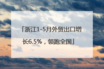 浙江1-5月外贸出口增长6.5%，领跑全国