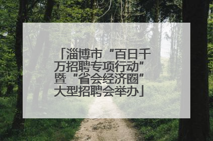 淄博市“百日千万招聘专项行动”暨“省会经济圈”大型招聘会举办