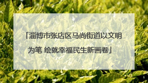 淄博市张店区马尚街道以文明为笔 绘就幸福民生新画卷