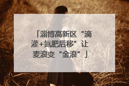 淄博高新区“滴灌+氮肥后移”让麦浪变“金浪”