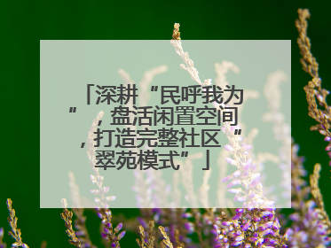 深耕“民呼我为”，盘活闲置空间，打造完整社区“翠苑模式”