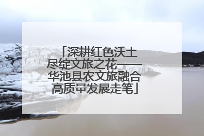 深耕红色沃土 尽绽文旅之花——华池县农文旅融合高质量发展走笔