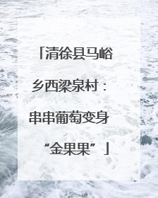 清徐县马峪乡西梁泉村：串串葡萄变身“金果果”