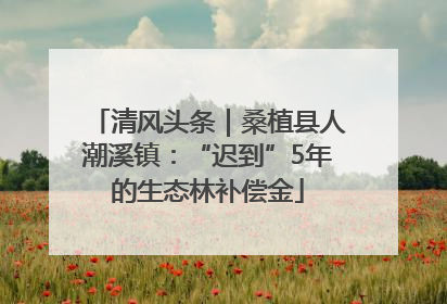 清风头条｜桑植县人潮溪镇：“迟到”5年的生态林补偿金