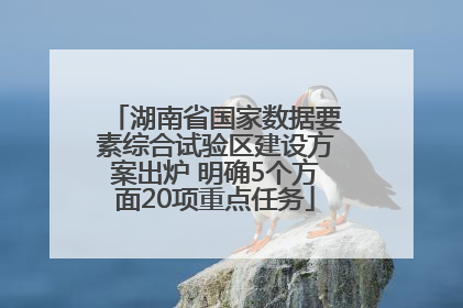 湖南省国家数据要素综合试验区建设方案出炉 明确5个方面20项重点任务