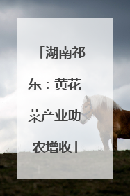 湖南祁东：黄花菜产业助农增收