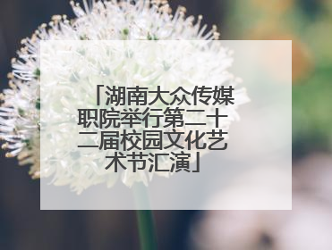 湖南大众传媒职院举行第二十二届校园文化艺术节汇演