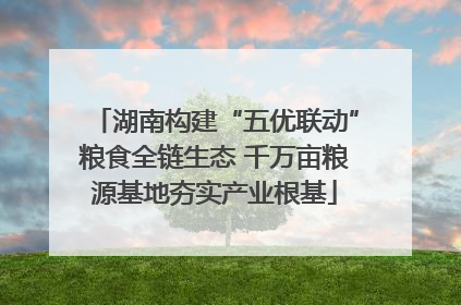 湖南构建“五优联动”粮食全链生态 千万亩粮源基地夯实产业根基