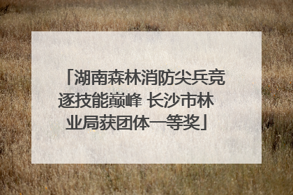 湖南森林消防尖兵竞逐技能巅峰 长沙市林业局获团体一等奖