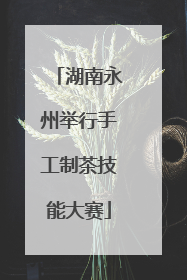 湖南永州举行手工制茶技能大赛