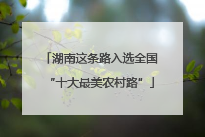湖南这条路入选全国“十大最美农村路”