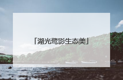 湖光鹭影生态美