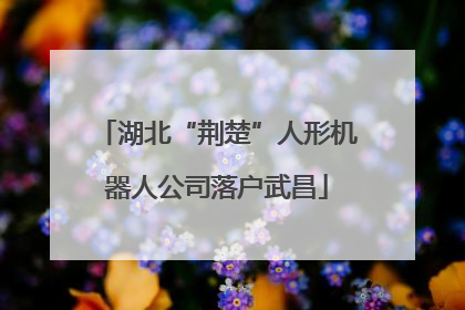 湖北“荆楚”人形机器人公司落户武昌