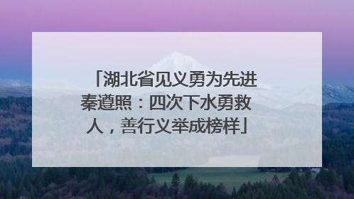 湖北省见义勇为先进秦遵照：四次下水勇救人，善行义举成榜样