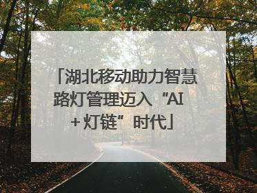 湖北移动助力智慧路灯管理迈入“AI＋灯链”时代