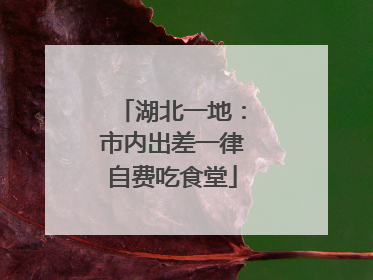 湖北一地：市内出差一律自费吃食堂