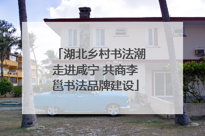 湖北乡村书法潮走进咸宁 共商李邕书法品牌建设