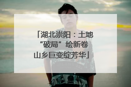 湖北崇阳：土地“破局”绘新卷 山乡巨变绽芳华