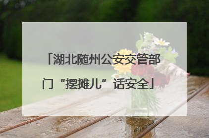 湖北随州公安交管部门“摆摊儿”话安全
