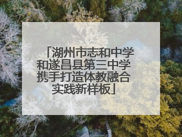 湖州市志和中学和遂昌县第三中学携手打造体教融合实践新样板