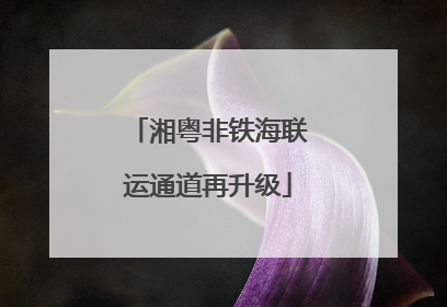 湘粤非铁海联运通道再升级
