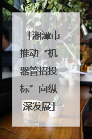 湘潭市推动“机器管招投标”向纵深发展