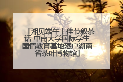 湘见端午丨佳节叙茶话 中南大学国际学生国情教育基地落户湖南省茶叶博物馆