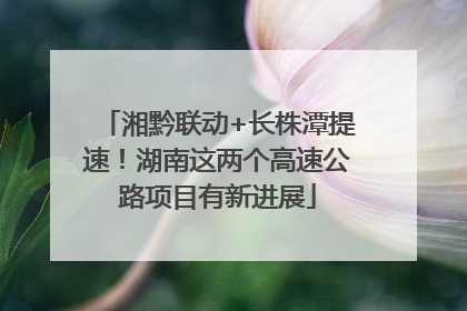 湘黔联动+长株潭提速！湖南这两个高速公路项目有新进展