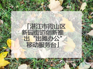 湛江市霞山区新园街道创新推出“出摊办公”移动服务台