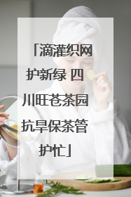 滴灌织网护新绿 四川旺苍茶园抗旱保茶管护忙