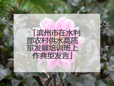 滨州市在水利部农村供水高质量发展培训班上作典型发言