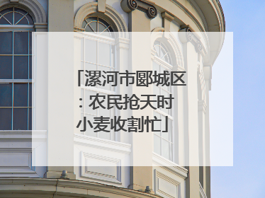 漯河市郾城区：农民抢天时 小麦收割忙