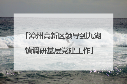 漳州高新区领导到九湖镇调研基层党建工作