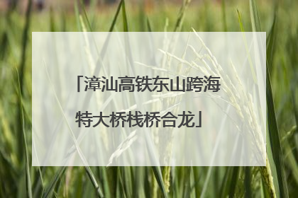 漳汕高铁东山跨海特大桥栈桥合龙