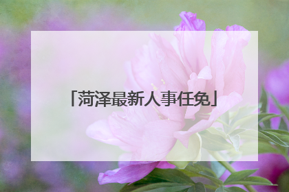 菏泽最新人事任免