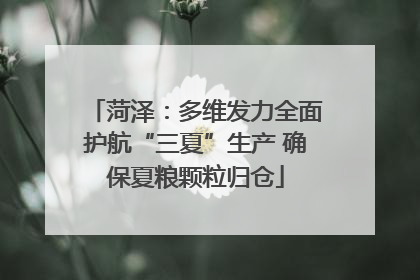 菏泽：多维发力全面护航“三夏”生产 确保夏粮颗粒归仓