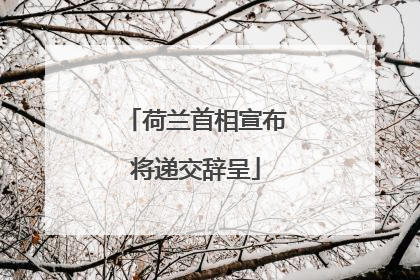 荷兰首相宣布将递交辞呈