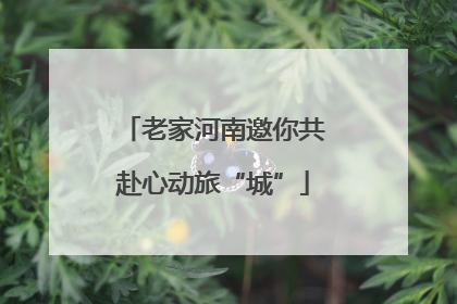 老家河南邀你共赴心动旅“城”