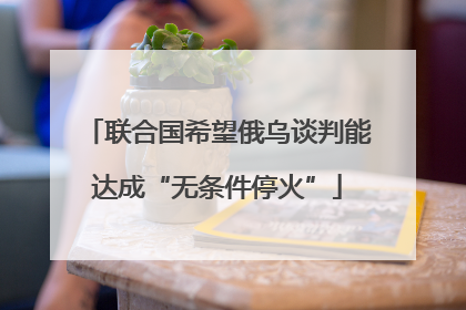 联合国希望俄乌谈判能达成“无条件停火”