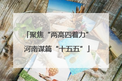 聚焦“两高四着力” 河南谋篇“十五五”