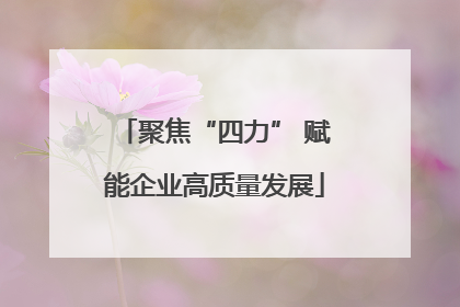 聚焦“四力” 赋能企业高质量发展