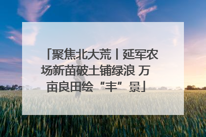 聚焦北大荒丨延军农场新苗破土铺绿浪 万亩良田绘“丰”景