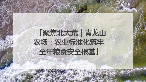 聚焦北大荒｜青龙山农场：农业标准化筑牢全年粮食安全根基