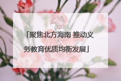 聚焦北方海南 推动义务教育优质均衡发展