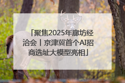 聚焦2025年廊坊经洽会丨京津冀首个AI招商选址大模型亮相