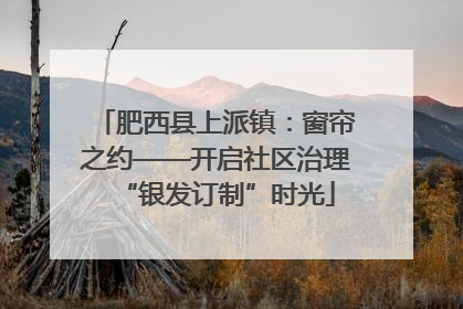 肥西县上派镇：窗帘之约——开启社区治理“银发订制”时光